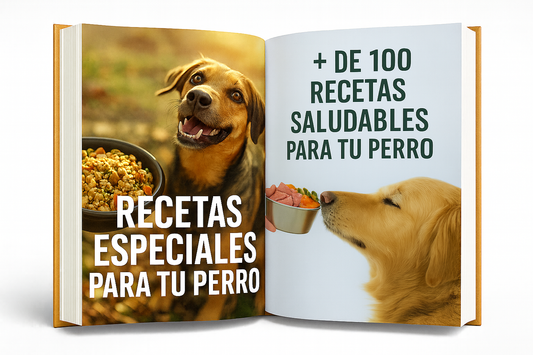 + 100 RECETAS SALUDABLES PARA TU PELUDITO Y 6 BONUS DE REGALO